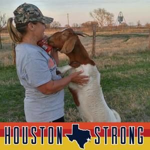 Meet your Posher, Shilo